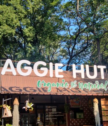 チェンマイ【AGGIE HUT】料理好きの方におすすめのオーガニックショップ